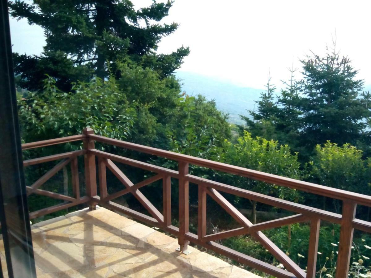 Elatos Cozy Studio Ano Trikala Bagian luar foto