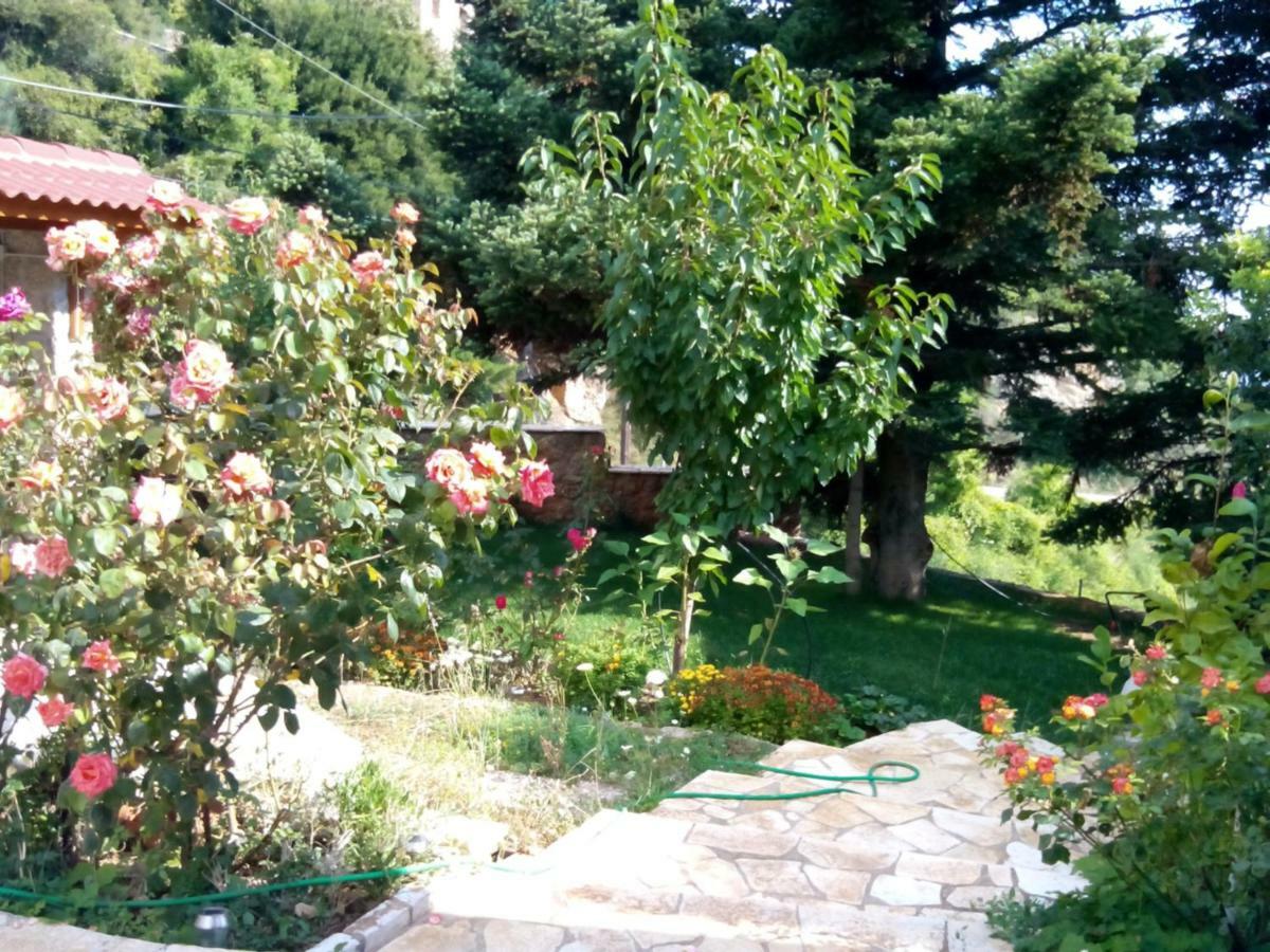 Elatos Cozy Studio Ano Trikala Bagian luar foto