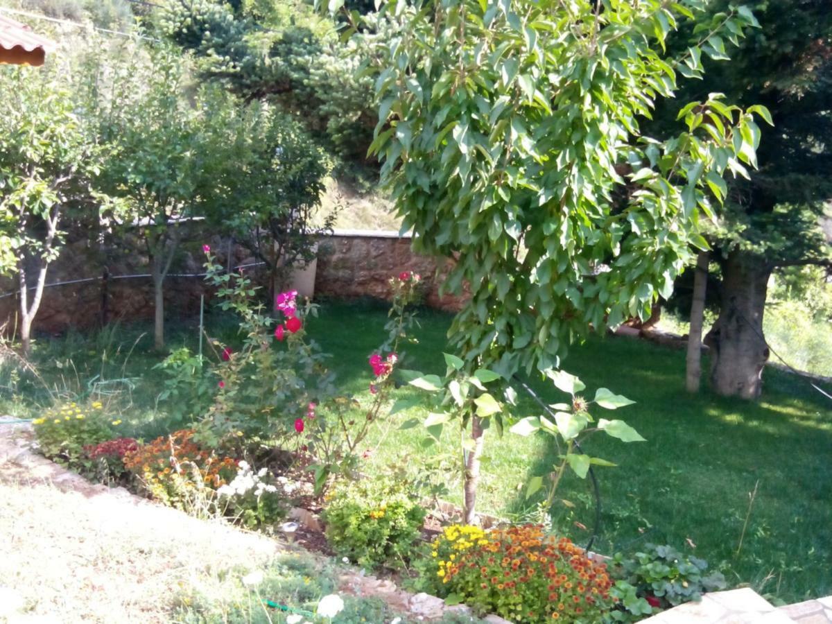 Elatos Cozy Studio Ano Trikala Bagian luar foto