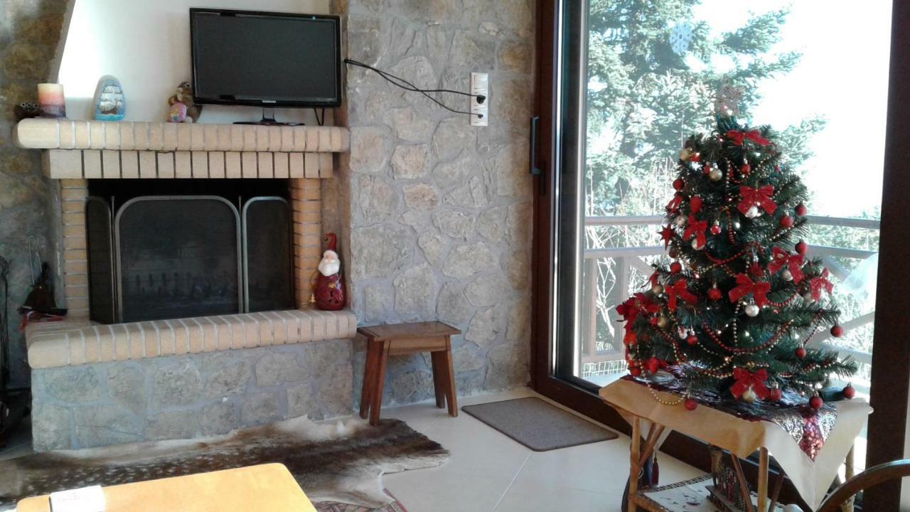 Elatos Cozy Studio Ano Trikala Bagian luar foto