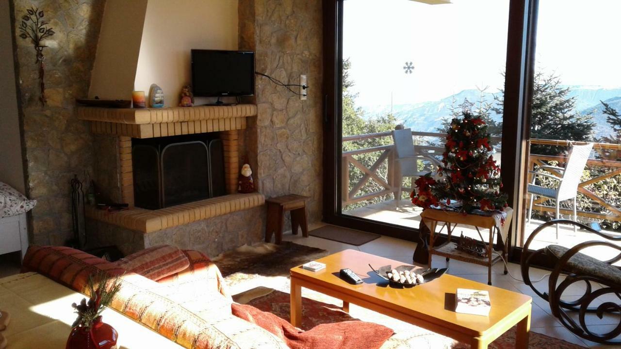 Elatos Cozy Studio Ano Trikala Bagian luar foto