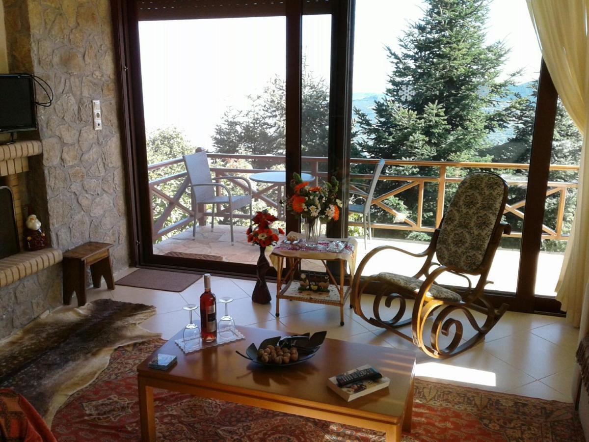 Elatos Cozy Studio Ano Trikala Bagian luar foto