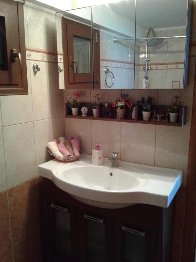 Elatos Cozy Studio Ano Trikala Bagian luar foto